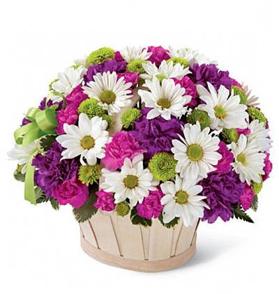  Kemer Çiçek Siparişi Sepette Papatya ve Karanfil Aranjman